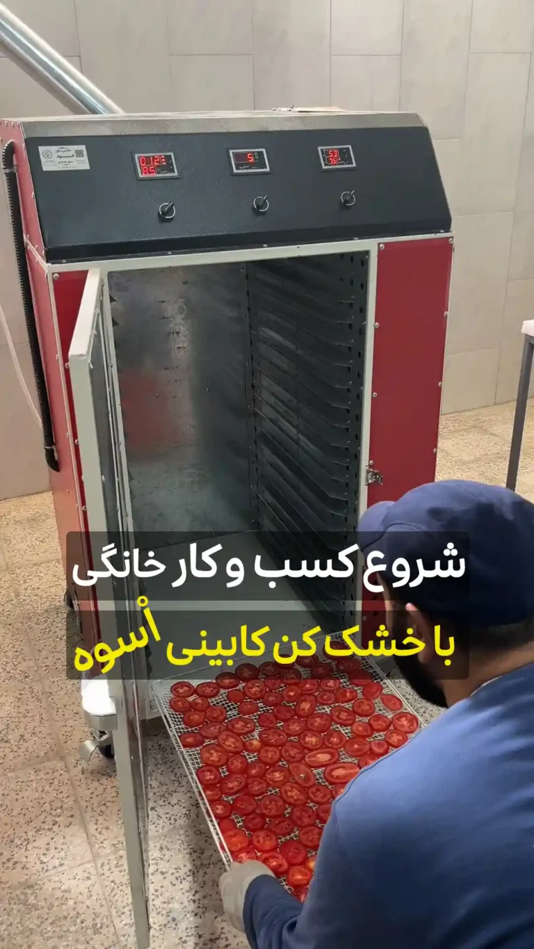 شروع کسب و کار خانگی با خشک کن خانگی