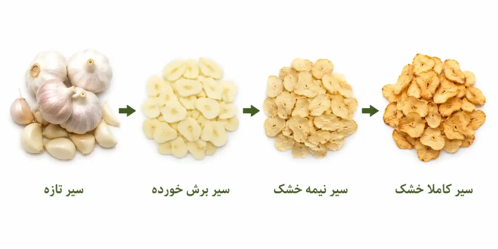 سیر خشک
