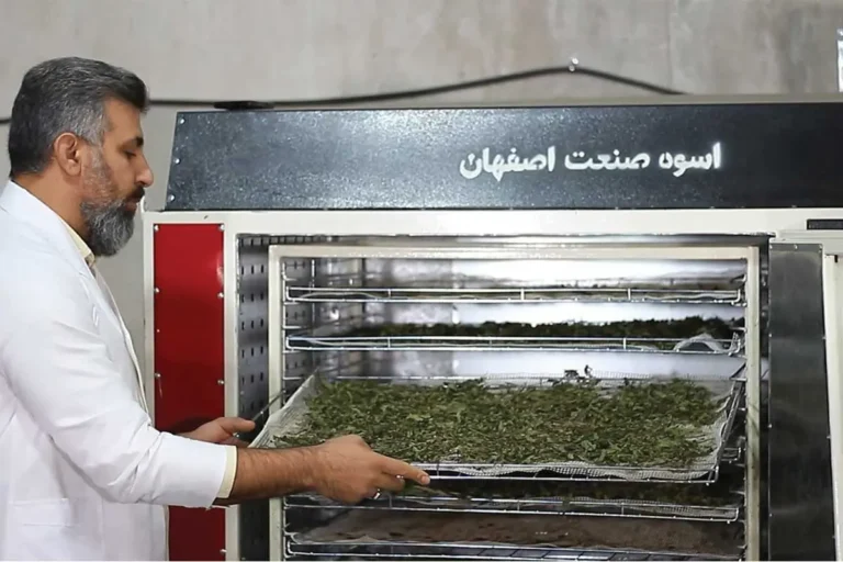 نعنا خشک