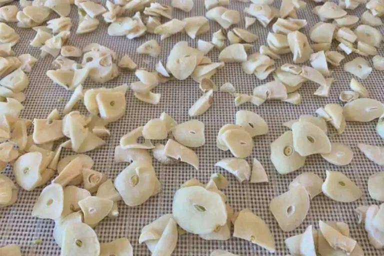 خشک کردن سیر