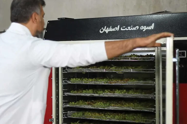 خشک کردن انگور با دستگاه خشک کن اسوه صنعت اصفهان