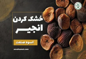 خشک کردن انجیر