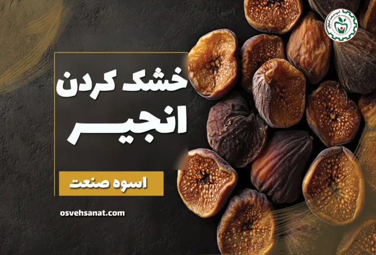 خشک کردن انجیر