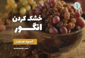 خشک کردن انگور