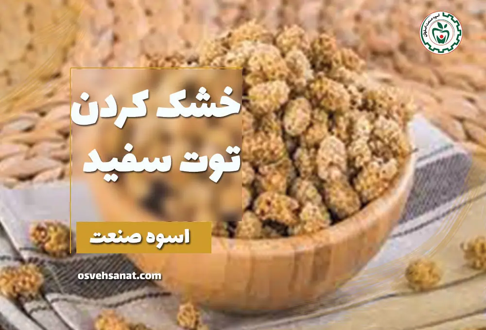 خشک کردن توت سفید