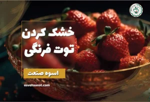 خشک کردن توت فرنگی