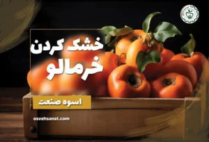 خشک کردن خرمالو