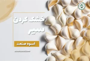 خشک کردن سیر