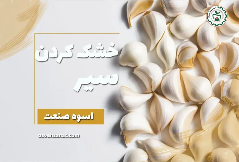 خشک کردن سیر