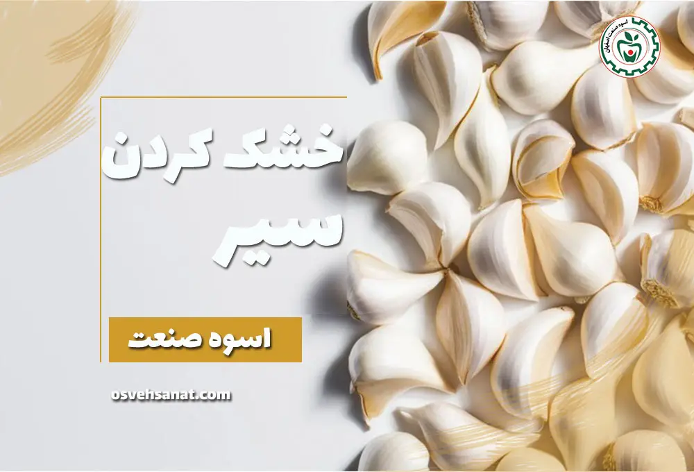 خشک کردن سیر