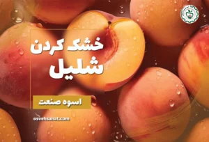خشک کردن شلیل