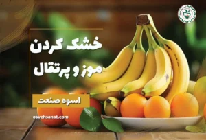 خشک کردن موز و پرتقال
