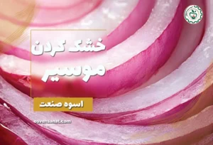 خشک کردن موسیر