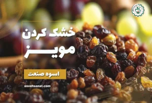 خشک کردن مویز
