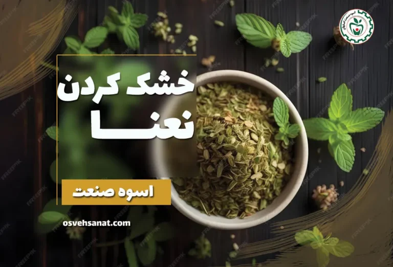 خشک کردن نعنا
