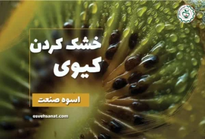 خشک کردن کیوی