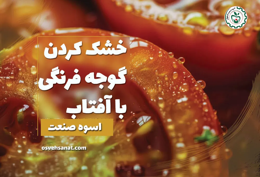 خشک کردن گوجه فرنگی