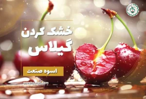 خشک کردن گیلاس