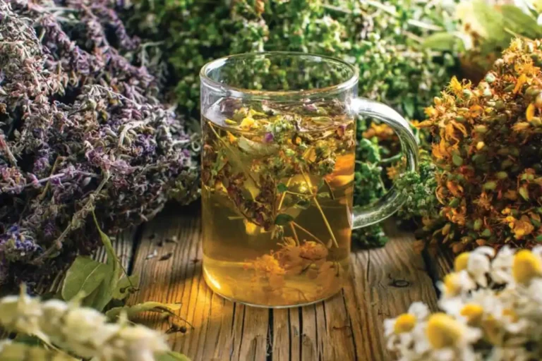 دمنوش گیاهان دارویی