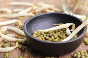 جوانه ماش