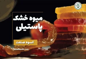 طرز تهیه میوه خشک پاستیلی