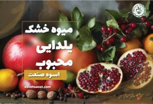 10 میوه خشک یلدایی
