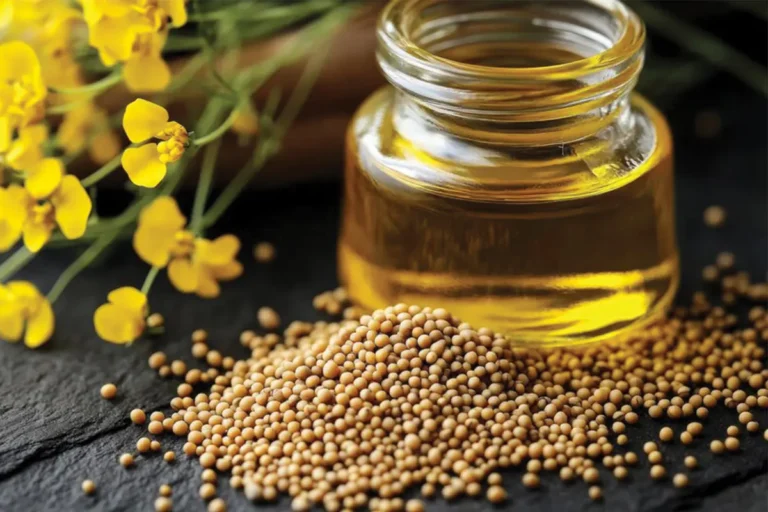 روغن و دانه روغنی