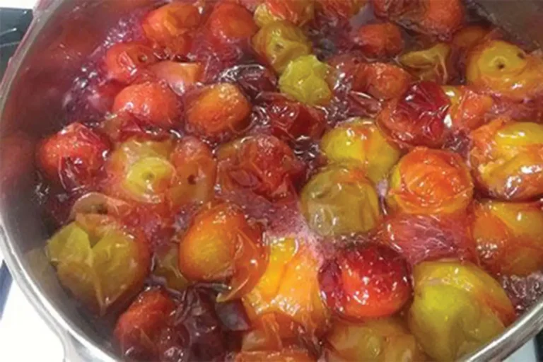 طرز تهیه لواشک آلو