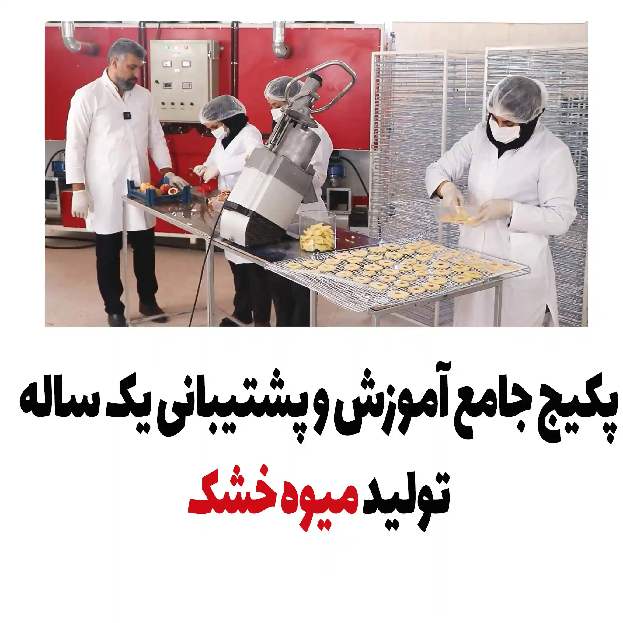 پکیج آموزشی تولید میوه خشک پکیج آموزشی تولید میوه خشک