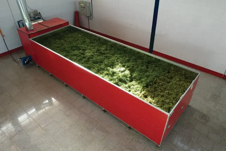خشک کن استخری