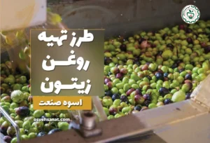 طرز تهیه روغن زیتون