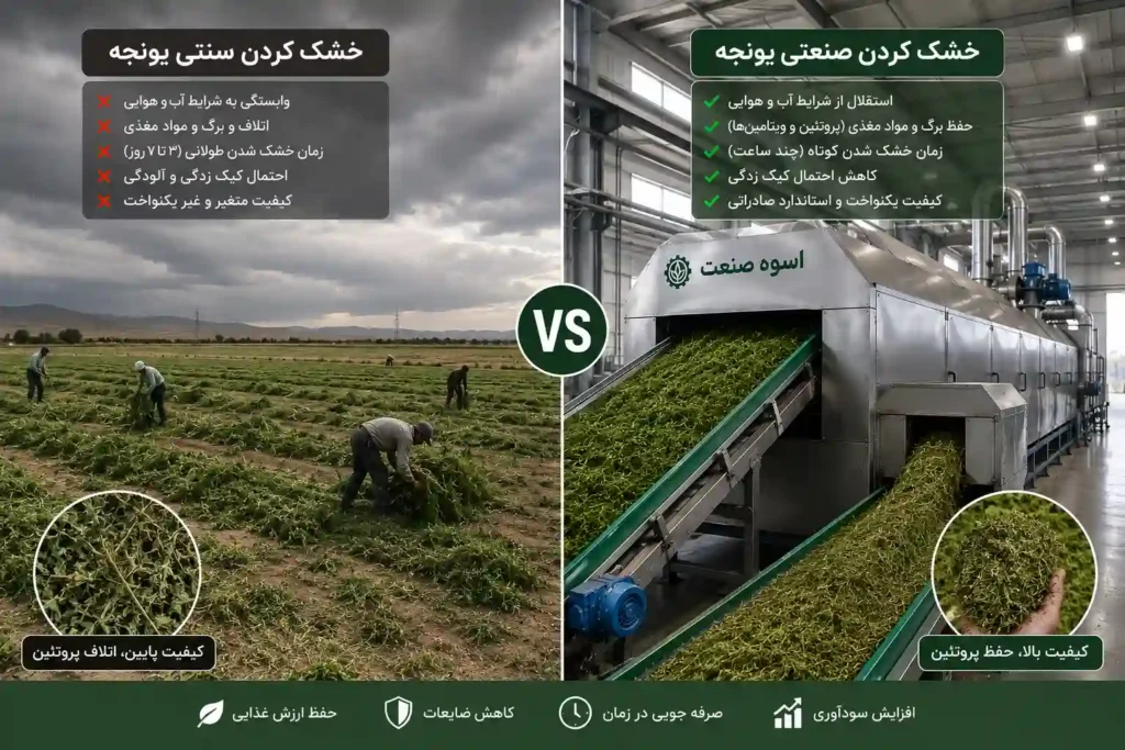 خشک کردن یونجه