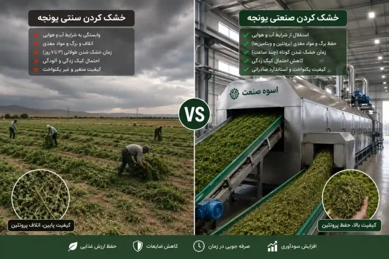خشک کردن یونجه