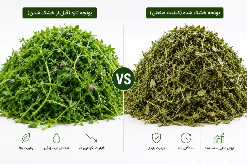 روش های خشک کردن یونجه